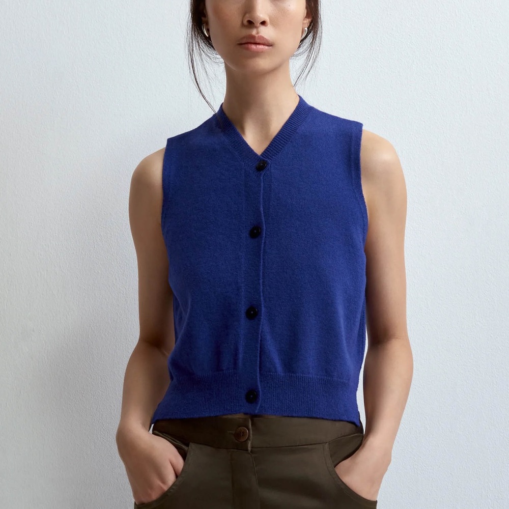 Blue Sleeveless Button-Up Vest